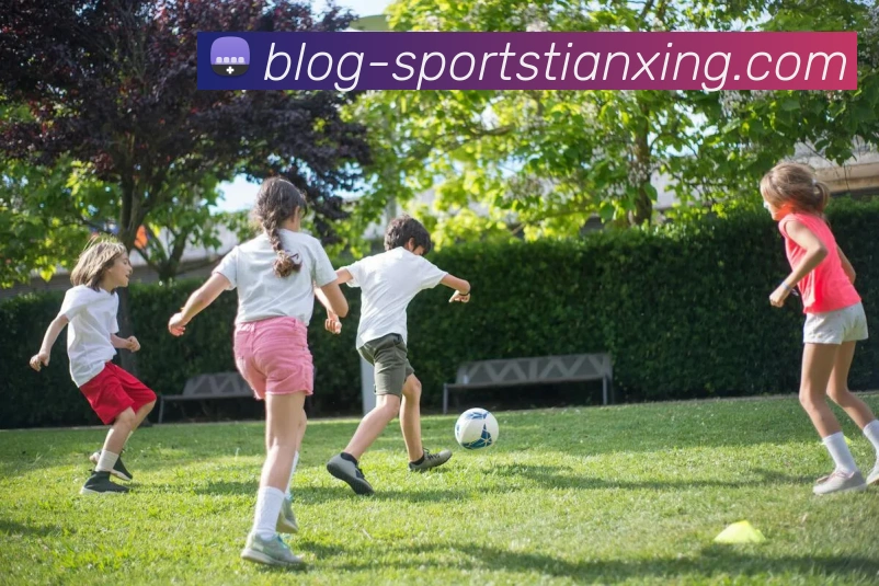 天行体育发展历程